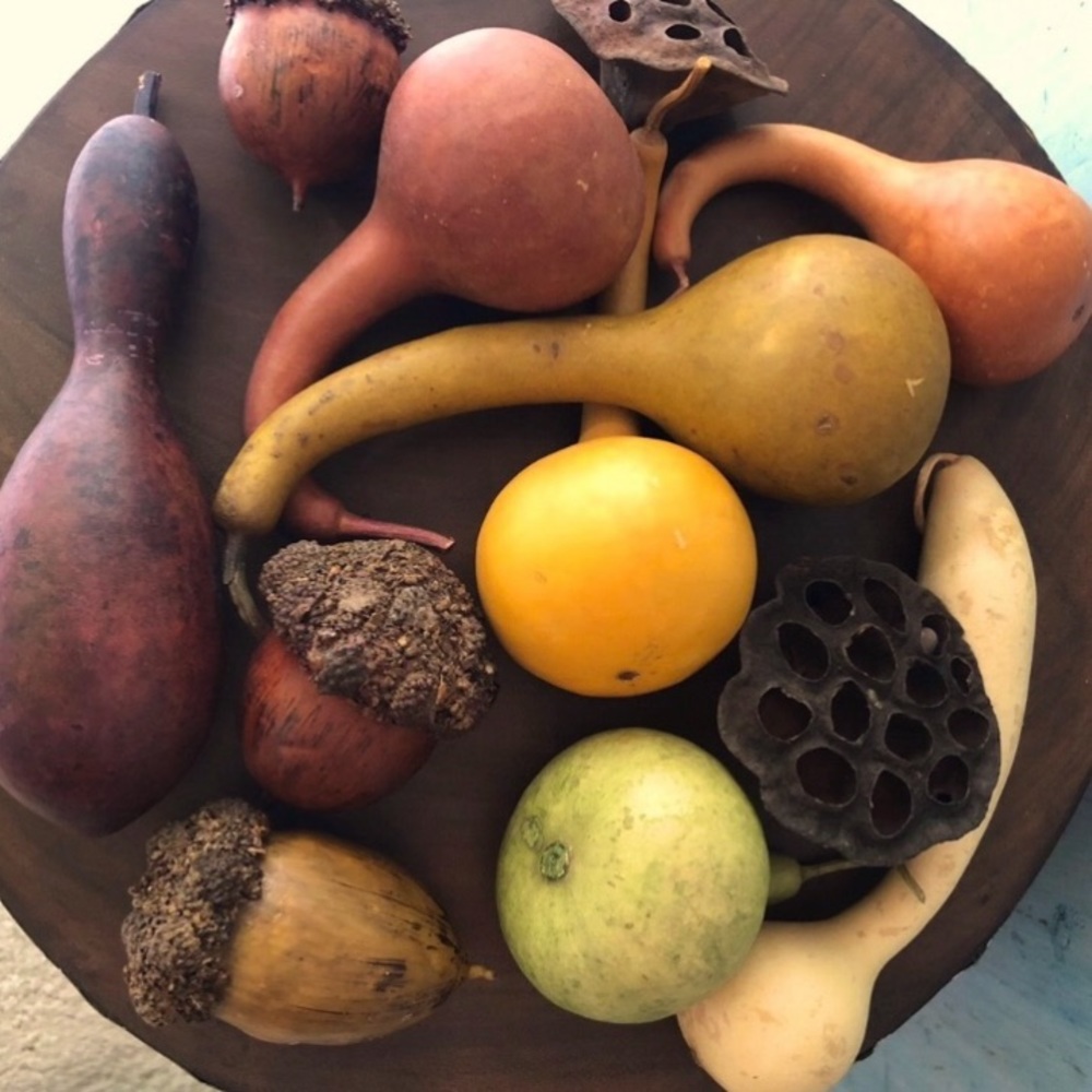 Bundle of beautiful harvest items in shades of sienna, brown, yellow, & green